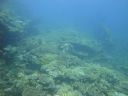 DSC00513.JPG