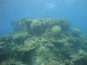DSC00515.JPG