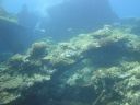 DSC00518.JPG