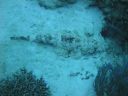 DSC00543.JPG
