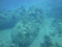 DSC00557.JPG