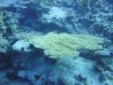 DSC00570.JPG