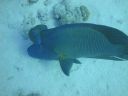 DSC00586.JPG