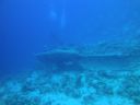 DSC00587.JPG