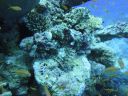 DSC00596.JPG