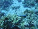 DSC00597.JPG