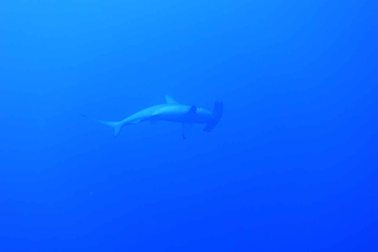 DSC00014.JPG