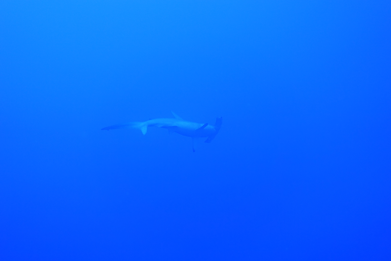 DSC00015.JPG