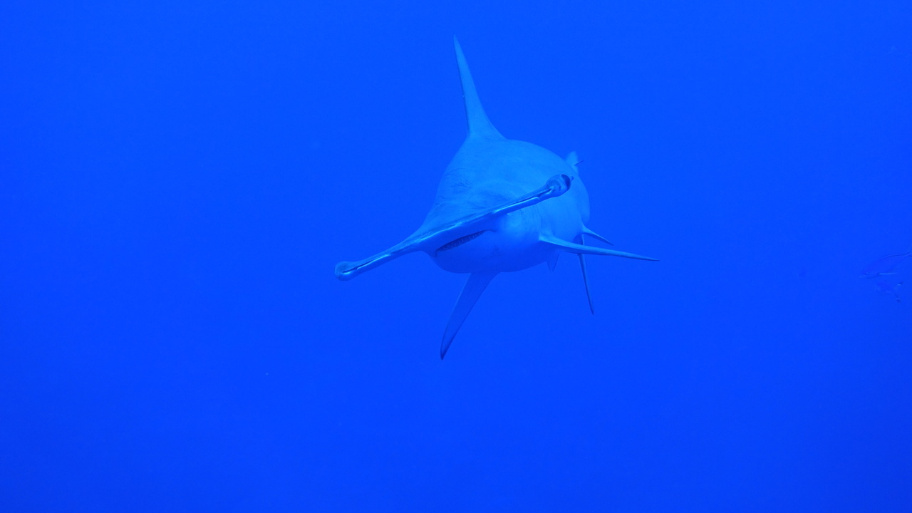 DSC00018.JPG