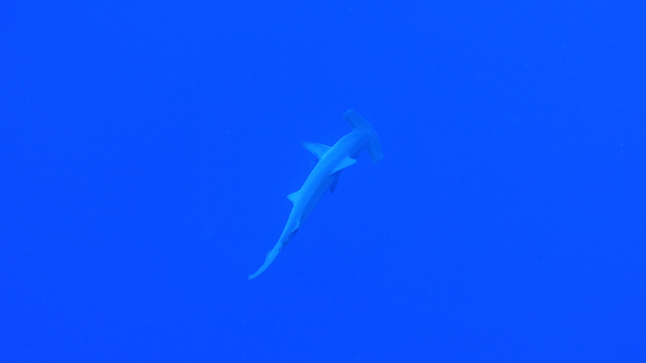 DSC00058.JPG