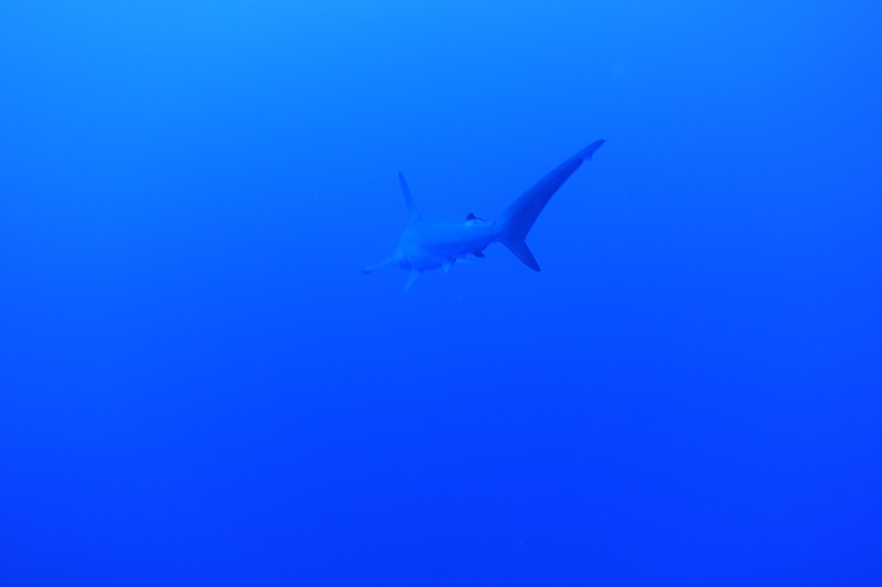 DSC00095.JPG