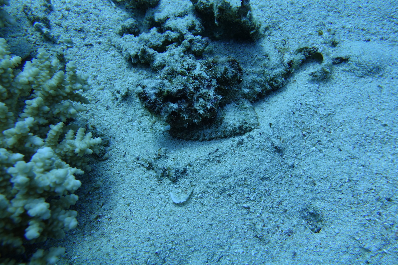 DSC00138.JPG