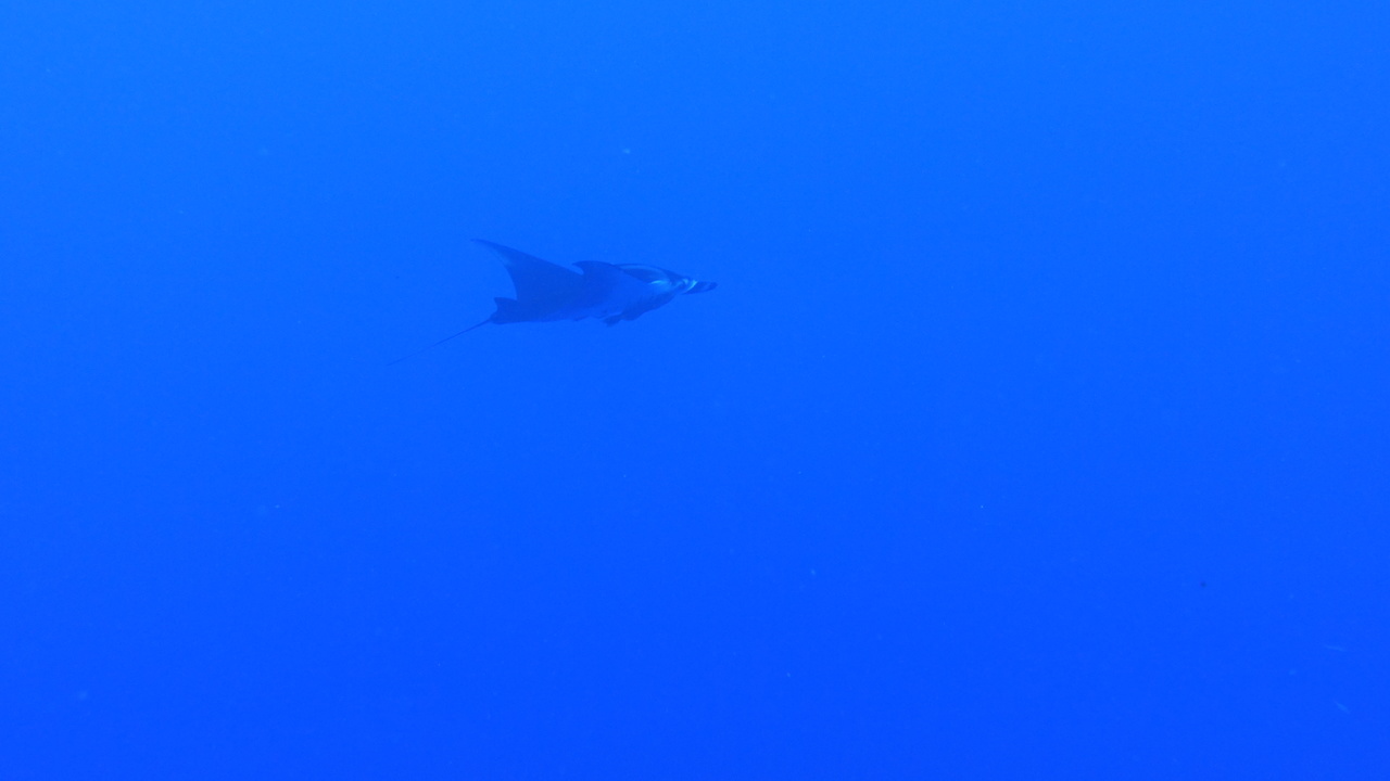 DSC00193.JPG