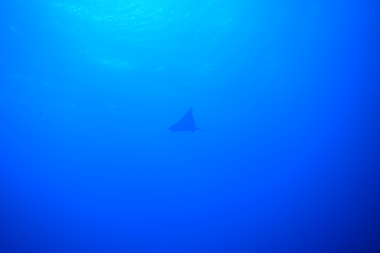 DSC00239.JPG