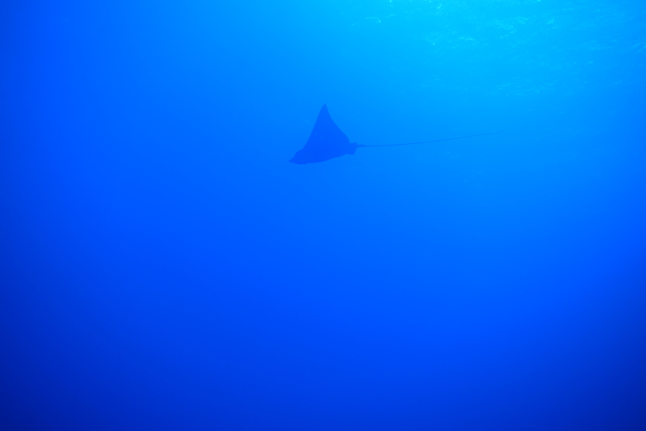 DSC00240.JPG