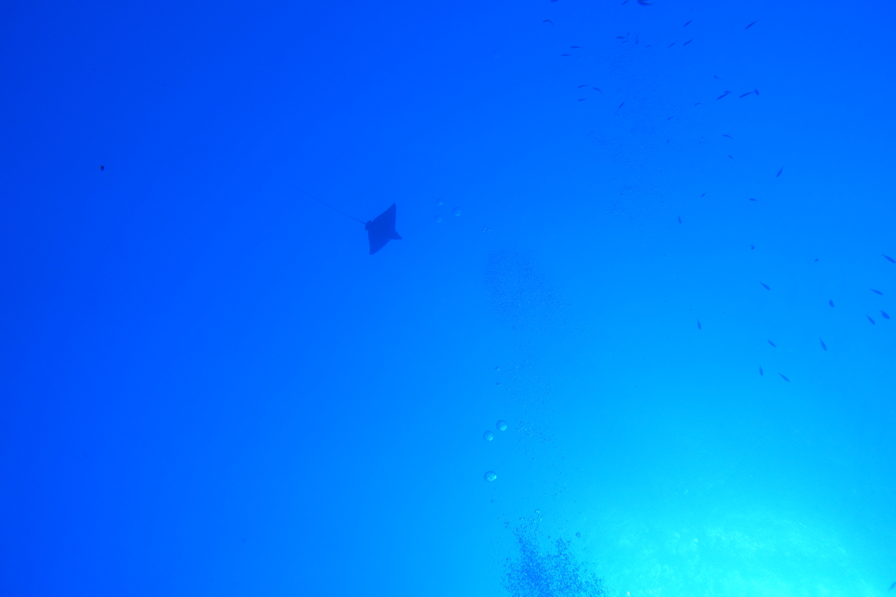 DSC00242.JPG
