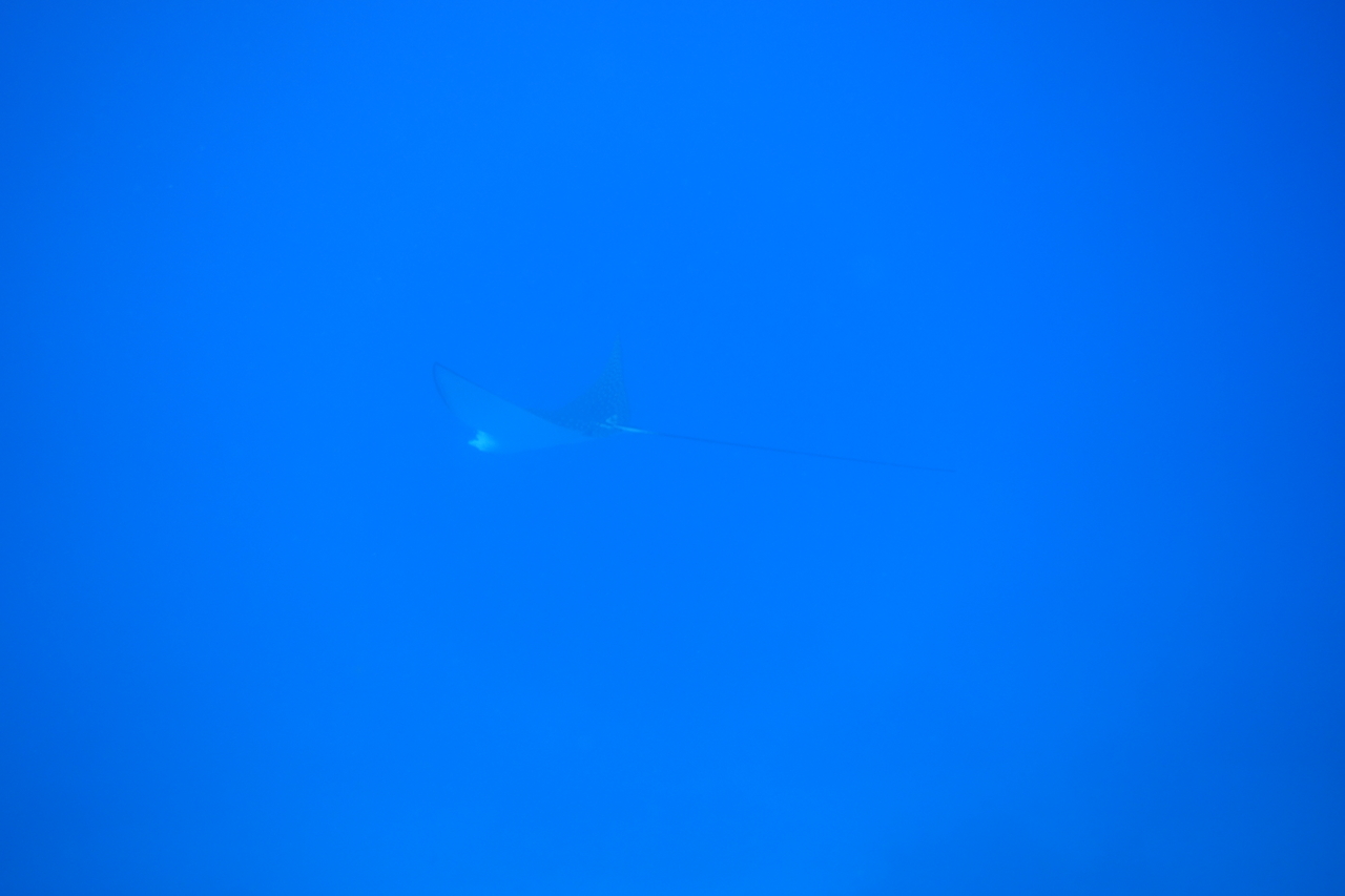 DSC00263.JPG