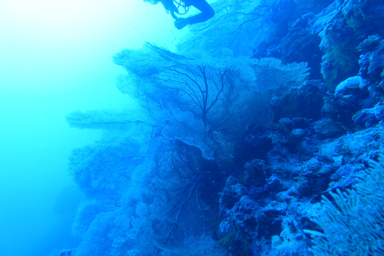 DSC00269.JPG