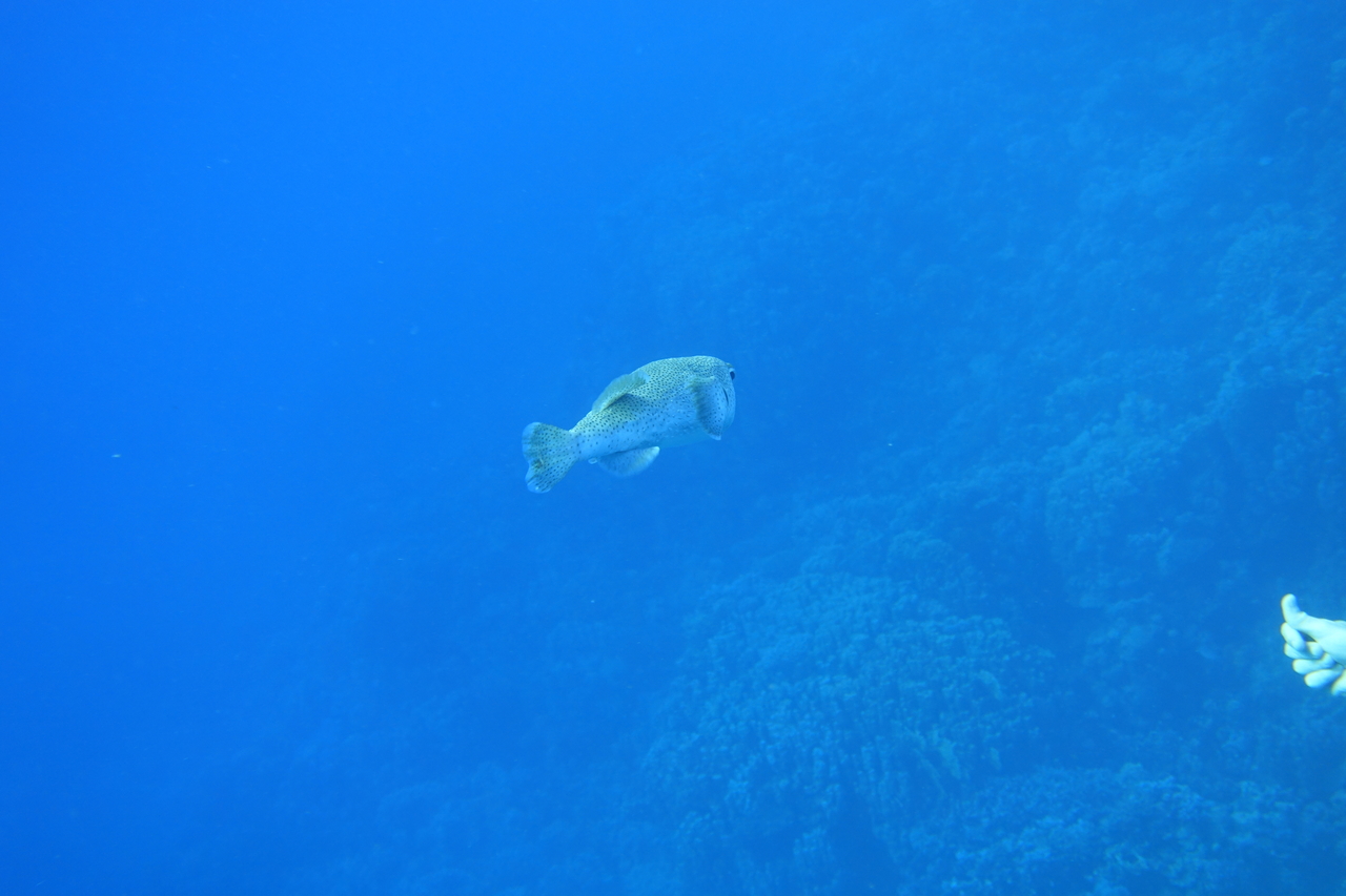 DSC00271.JPG
