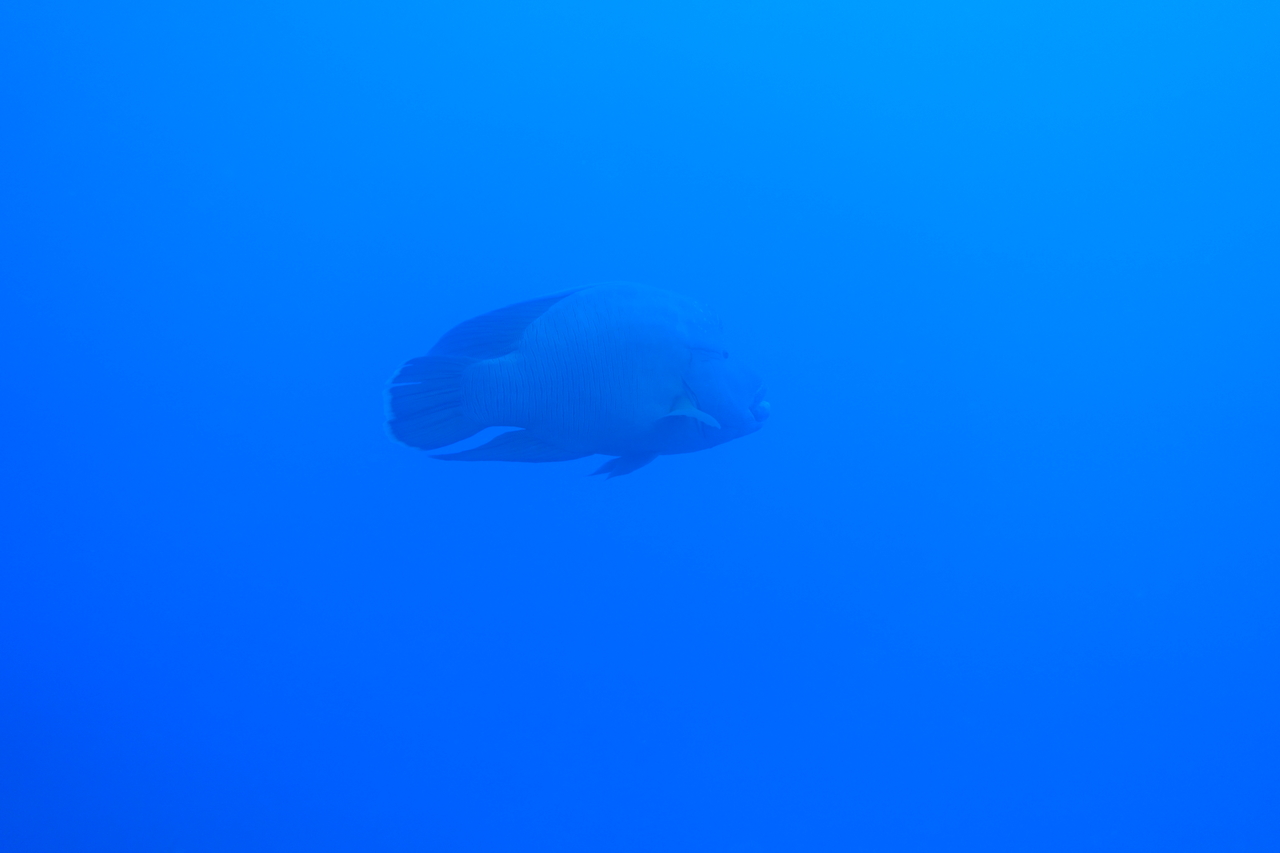 DSC00291.JPG