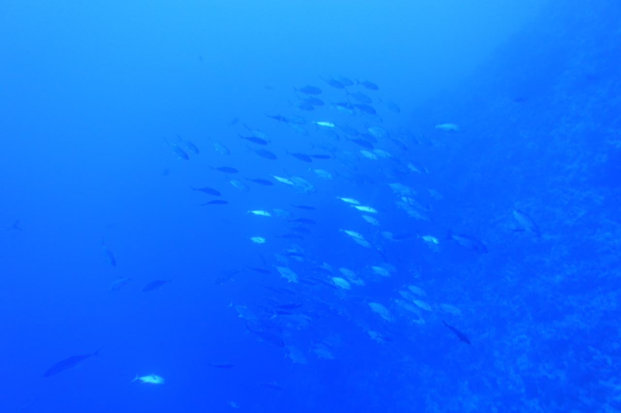 DSC00307.JPG