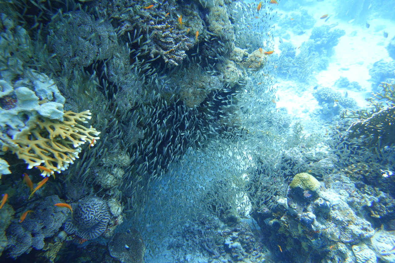 DSC00421.JPG
