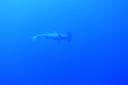 DSC00013.JPG