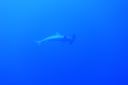 DSC00014.JPG