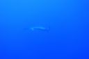 DSC00015.JPG