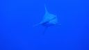 DSC00018.JPG