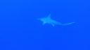 DSC00059.JPG