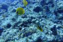 DSC00123.JPG