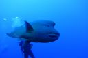 DSC00125.JPG