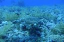 DSC00128.JPG