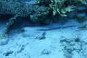 DSC00129.JPG