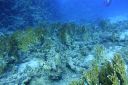 DSC00130.JPG