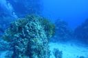 DSC00131.JPG