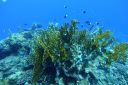 DSC00132.JPG