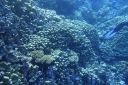 DSC00133.JPG