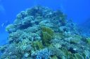 DSC00135.JPG
