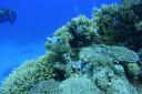 DSC00136.JPG