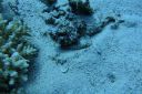 DSC00138.JPG