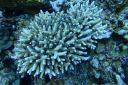 DSC00139.JPG