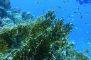 DSC00140.JPG