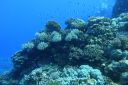 DSC00141.JPG
