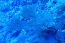 DSC00145.JPG