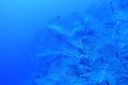 DSC00146.JPG
