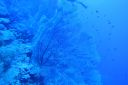 DSC00147.JPG