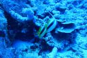 DSC00148.JPG
