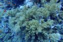 DSC00149.JPG